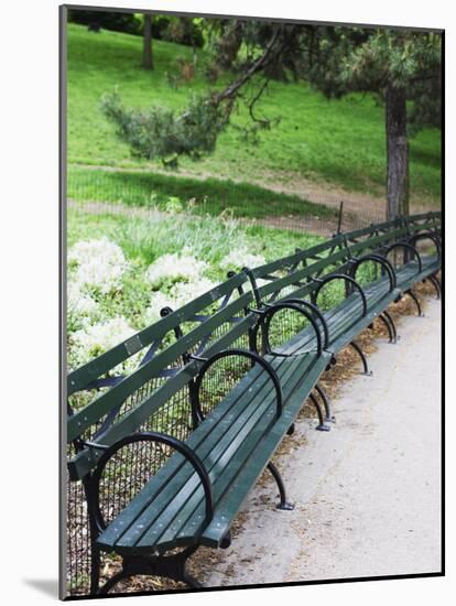 Benches, Central Park, Manhattan-Amanda Hall-Mounted Photographic Print