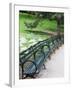 Benches, Central Park, Manhattan-Amanda Hall-Framed Photographic Print