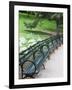 Benches, Central Park, Manhattan-Amanda Hall-Framed Photographic Print