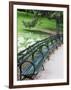 Benches, Central Park, Manhattan-Amanda Hall-Framed Photographic Print