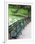 Benches, Central Park, Manhattan-Amanda Hall-Framed Photographic Print