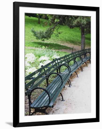 Benches, Central Park, Manhattan-Amanda Hall-Framed Photographic Print