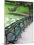 Benches, Central Park, Manhattan-Amanda Hall-Mounted Photographic Print