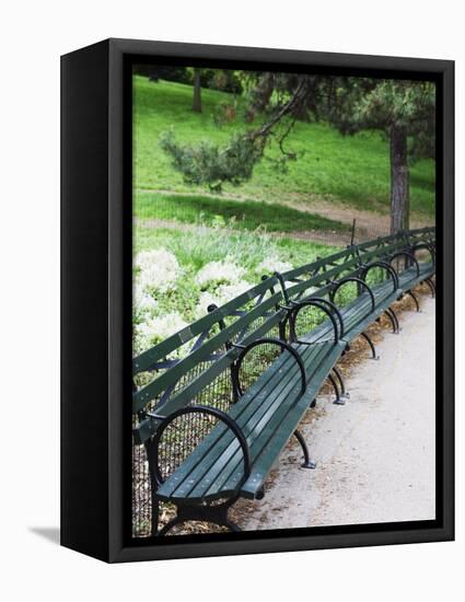 Benches, Central Park, Manhattan-Amanda Hall-Framed Stretched Canvas