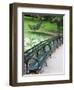 Benches, Central Park, Manhattan-Amanda Hall-Framed Photographic Print