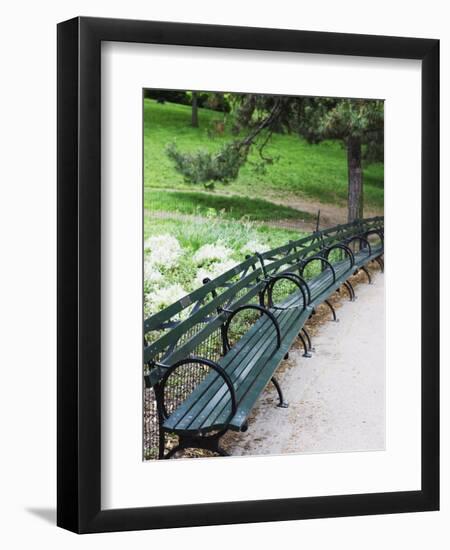 Benches, Central Park, Manhattan-Amanda Hall-Framed Photographic Print