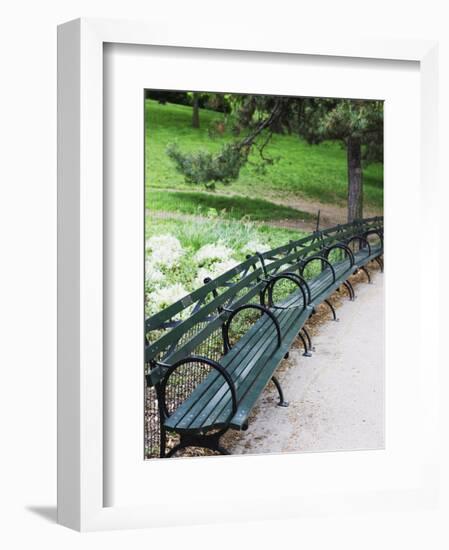 Benches, Central Park, Manhattan-Amanda Hall-Framed Photographic Print