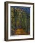 Bend in the Forest Road, 1902-1906-Paul Cézanne-Framed Giclee Print