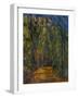 Bend in the Forest Road, 1902-1906-Paul Cézanne-Framed Giclee Print