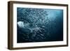 Bend-Andrey Narchuk-Framed Photographic Print