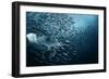 Bend-Andrey Narchuk-Framed Photographic Print