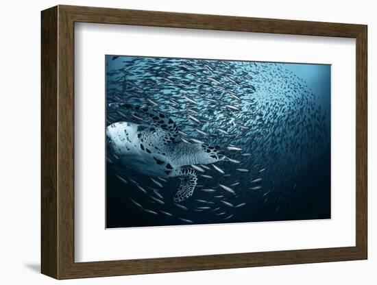 Bend-Andrey Narchuk-Framed Photographic Print