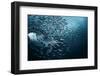 Bend-Andrey Narchuk-Framed Photographic Print