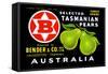 Bender and Co. Selected Tasmanian Pears-null-Framed Stretched Canvas