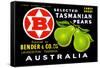 Bender and Co. Selected Tasmanian Pears-null-Framed Stretched Canvas