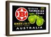 Bender and Co. Selected Tasmanian Pears-null-Framed Art Print