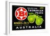 Bender and Co. Selected Tasmanian Pears-null-Framed Art Print