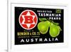 Bender and Co. Selected Tasmanian Pears-null-Framed Premium Giclee Print