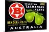 Bender and Co. Selected Tasmanian Pears-null-Mounted Premium Giclee Print