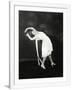 Gramercy White