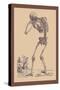 Bending Skeleton-Andreas Vesalius-Stretched Canvas