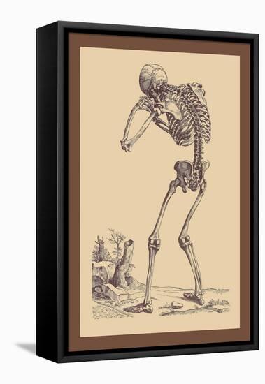 Bending Skeleton-Andreas Vesalius-Framed Stretched Canvas