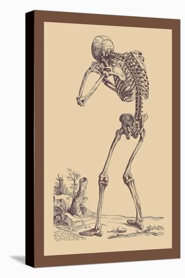 Bending Skeleton-Andreas Vesalius-Stretched Canvas