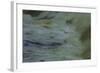 Beneath Churning Waterfalls At Dusk-Anthony Paladino-Framed Giclee Print