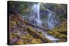 Beneath Lower Proxy Falls, Oregon-Vincent James-Stretched Canvas