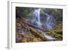 Beneath Lower Proxy Falls, Oregon-Vincent James-Framed Photographic Print