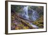 Beneath Lower Proxy Falls, Oregon-Vincent James-Framed Photographic Print