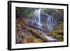 Beneath Lower Proxy Falls, Oregon-Vincent James-Framed Photographic Print