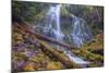 Beneath Lower Proxy Falls, Oregon-Vincent James-Mounted Photographic Print