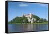 Benedictine Abby-pryzmat-Framed Stretched Canvas