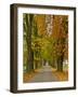 Benediktbeuern, Autumn-Uta Horst-Framed Photographic Print