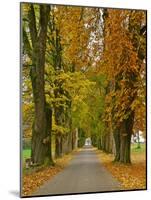 Benediktbeuern, Autumn-Uta Horst-Mounted Photographic Print