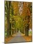 Benediktbeuern, Autumn-Uta Horst-Mounted Photographic Print