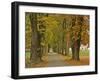 Benediktbeuern, Autumn-Uta Horst-Framed Photographic Print