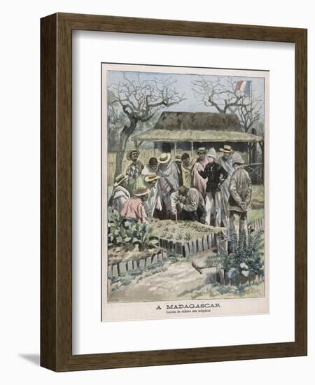 Benevolent Colonialism, in Madagascar the French Instruct the Natives in Horticultural Techniques-Carrey-Framed Art Print