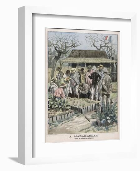 Benevolent Colonialism, in Madagascar the French Instruct the Natives in Horticultural Techniques-Carrey-Framed Art Print