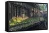 Beng Mealea Temple at Sunrise, Near Angkor, Siem Reap, Cambodia, Indochina, Southeast Asia, Asia-Stephen Studd-Framed Stretched Canvas