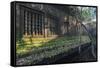 Beng Mealea Temple at Sunrise, Near Angkor, Siem Reap, Cambodia, Indochina, Southeast Asia, Asia-Stephen Studd-Framed Stretched Canvas