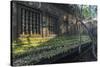 Beng Mealea Temple at Sunrise, Near Angkor, Siem Reap, Cambodia, Indochina, Southeast Asia, Asia-Stephen Studd-Stretched Canvas