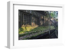 Beng Mealea Temple at Sunrise, Near Angkor, Siem Reap, Cambodia, Indochina, Southeast Asia, Asia-Stephen Studd-Framed Photographic Print