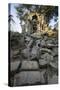 Beng Mealea Temple, Cambodia-Paul Souders-Stretched Canvas