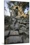 Beng Mealea Temple, Cambodia-Paul Souders-Mounted Photographic Print