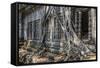 Beng Mealea Temple-Michael Nolan-Framed Stretched Canvas