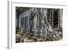 Beng Mealea Temple-Michael Nolan-Framed Photographic Print