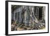 Beng Mealea Temple-Michael Nolan-Framed Photographic Print