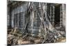 Beng Mealea Temple-Michael Nolan-Mounted Photographic Print